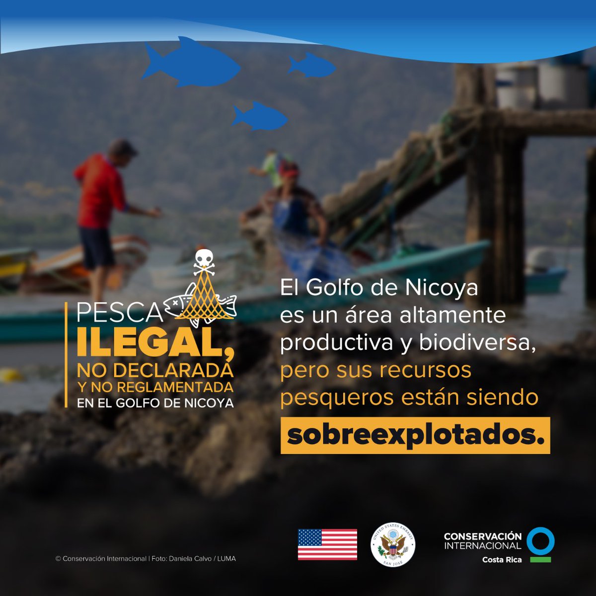 Conservación Internacional Costa Rica tweet media