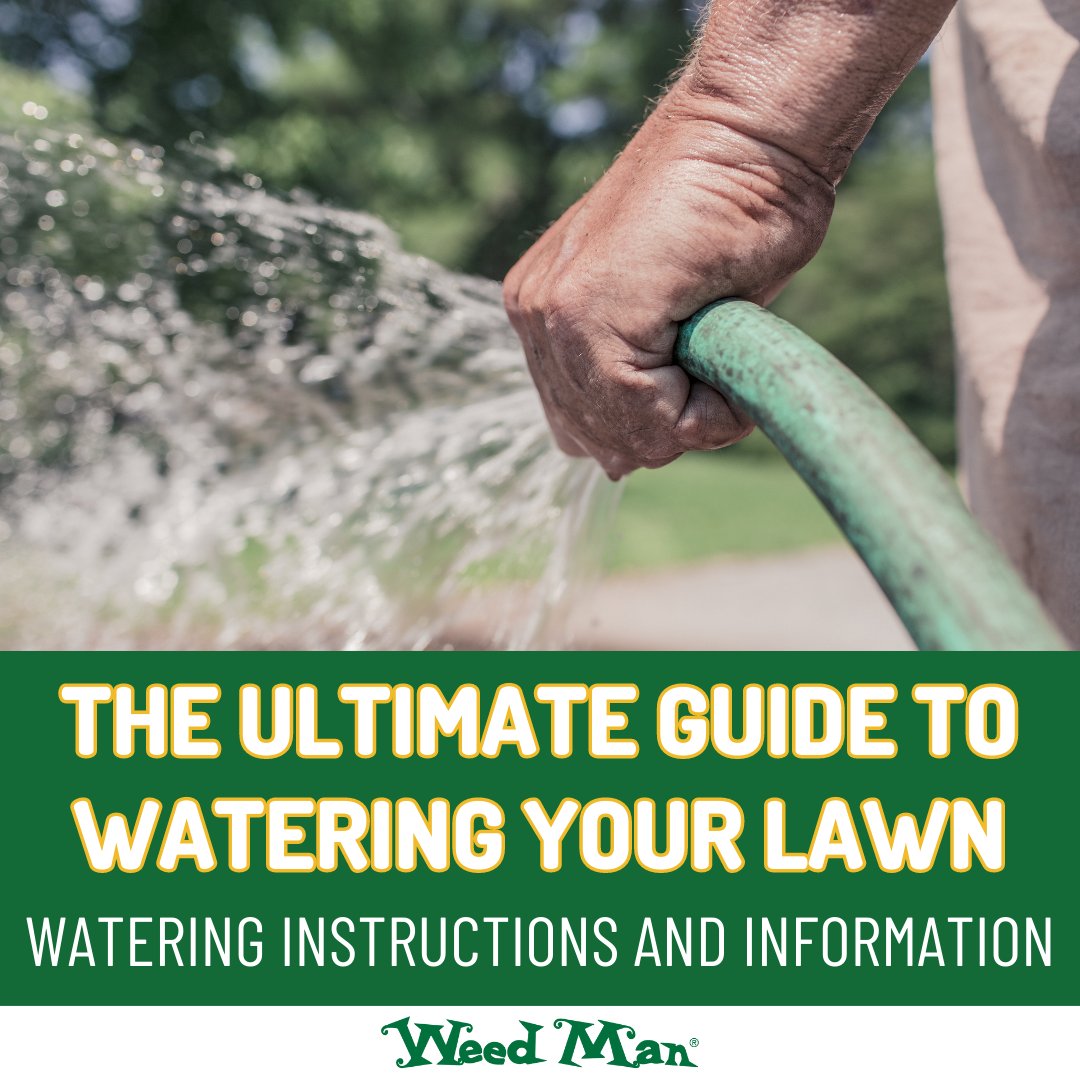 weedmanmainline's tweet photo. Watering is one of the most crucial lawn care practices for growing a lush, green, healthy lawn, but it can be more of an art than a science. The specifics will vary based on your region, soil, and grass types, as well as heat, humidity, and... https://t.co/f7eyJSWP0m

#lawncare https://t.co/H6uWsR67RF