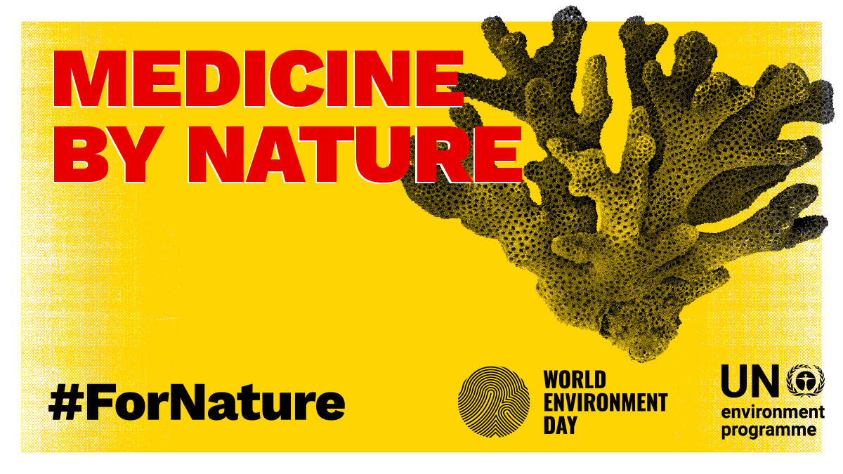 Proportion of cancer drugs that are natural or synthetic products inspired by nature? 70%!

Support #ForNature supports our health.  Join us at #GenerationRestoration

#WorldEnvironmentDay
#GlobalGoals
#17at17 
@BuildnBlazeTV