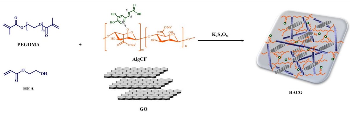 Molecules_MDPI's tweet image. 📌#hybridhydrogels #proteincrystallization #lysozyme
New Publication “Alginate Bioconjugate and Graphene Oxide in Multifunctional Hydrogels for Versatile Biomedical Applications”
By: Giuseppe Cirillo, et al.
👉mdpi.com/1420-3049/26/5…
#mdpimolecules #NewPublication