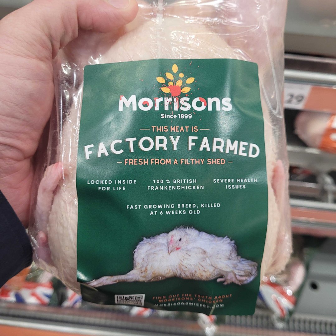 @Morrisons, @asda, @LidlGB, @Tesco - the label says Morrisons, but you are ALL complicit in this horrendous and appalling Frankenchicken scandal.  Stop putting profit before animal welfare - sign up to the Better Chicken Commitment #LidlChickenScandal, #morrisonsmisery,