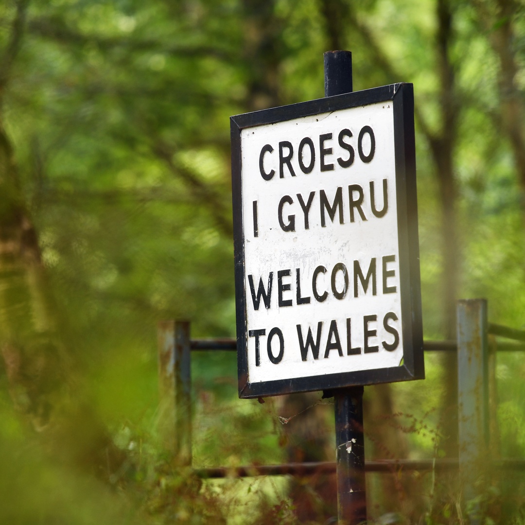 We're proud to be a Nation of Sanctuary ❤️

Diolch to everyone who has opened their hearts and their homes to those fleeing war and conflict.

We have a long history of helping refugees, who have helped us too - they're our neighbours and friends.

#WorldRefugeeDay