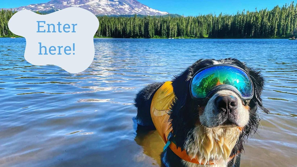 ❗ SUMMER CONTEST ALERT ❗ Share a pic of you and your dog living your best summer life to enter our Dog Days of Summer Photo Contest (& be entered to win some awesome prizes)! 📷🍉 Enter your pic here: woobox.com/pz9rqn