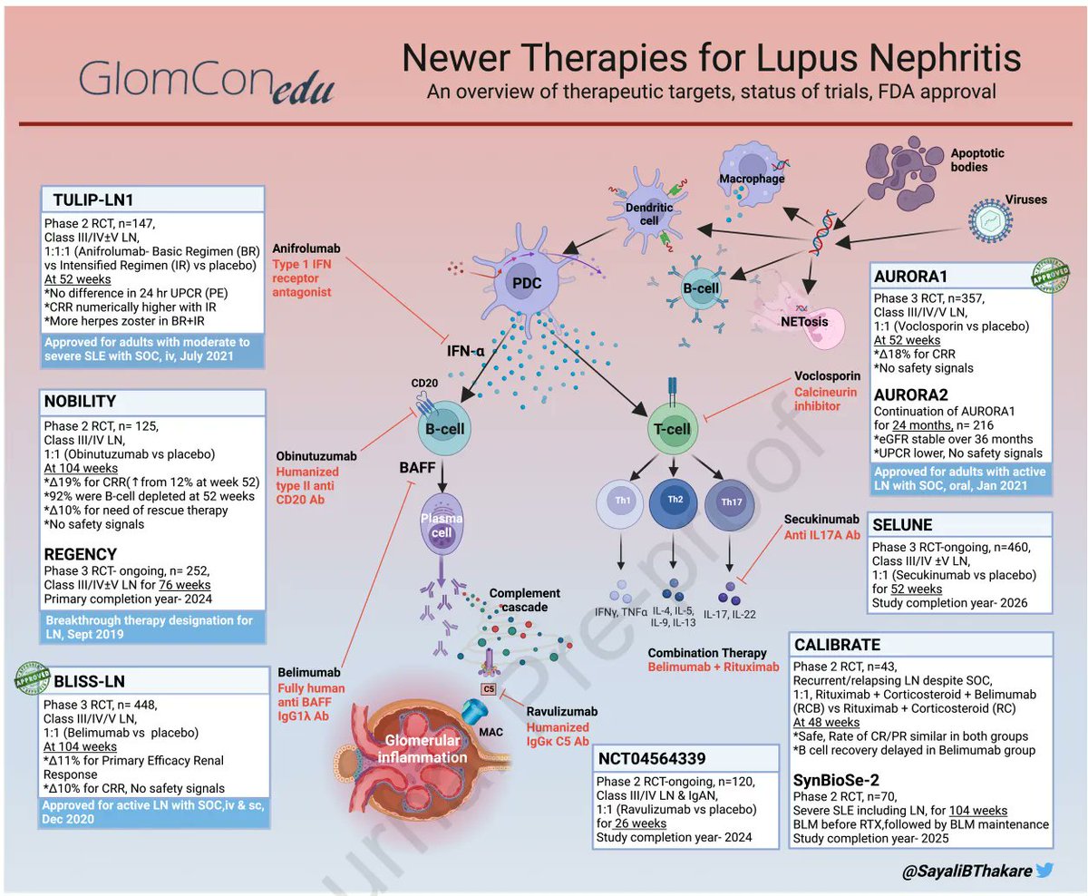 Novel Therapeutics for Management of Lupus Nephritis: What Is Next? 
@GlomCon 

buff.ly/42NNozA