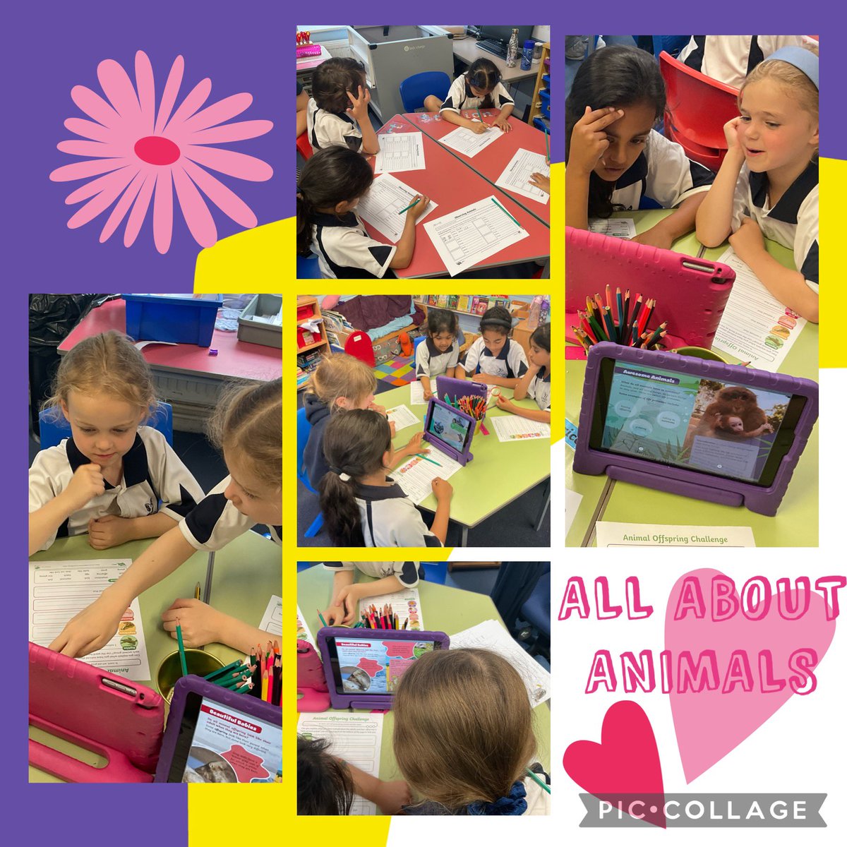 Highfield Year 2 tweet media