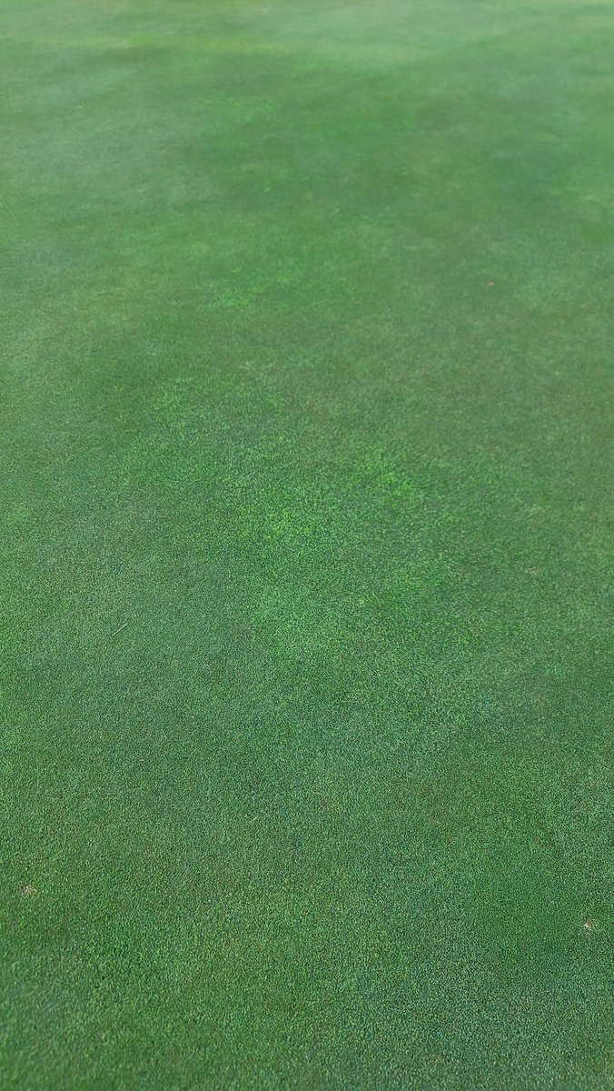 Bill Kreuser, PhD tweet media