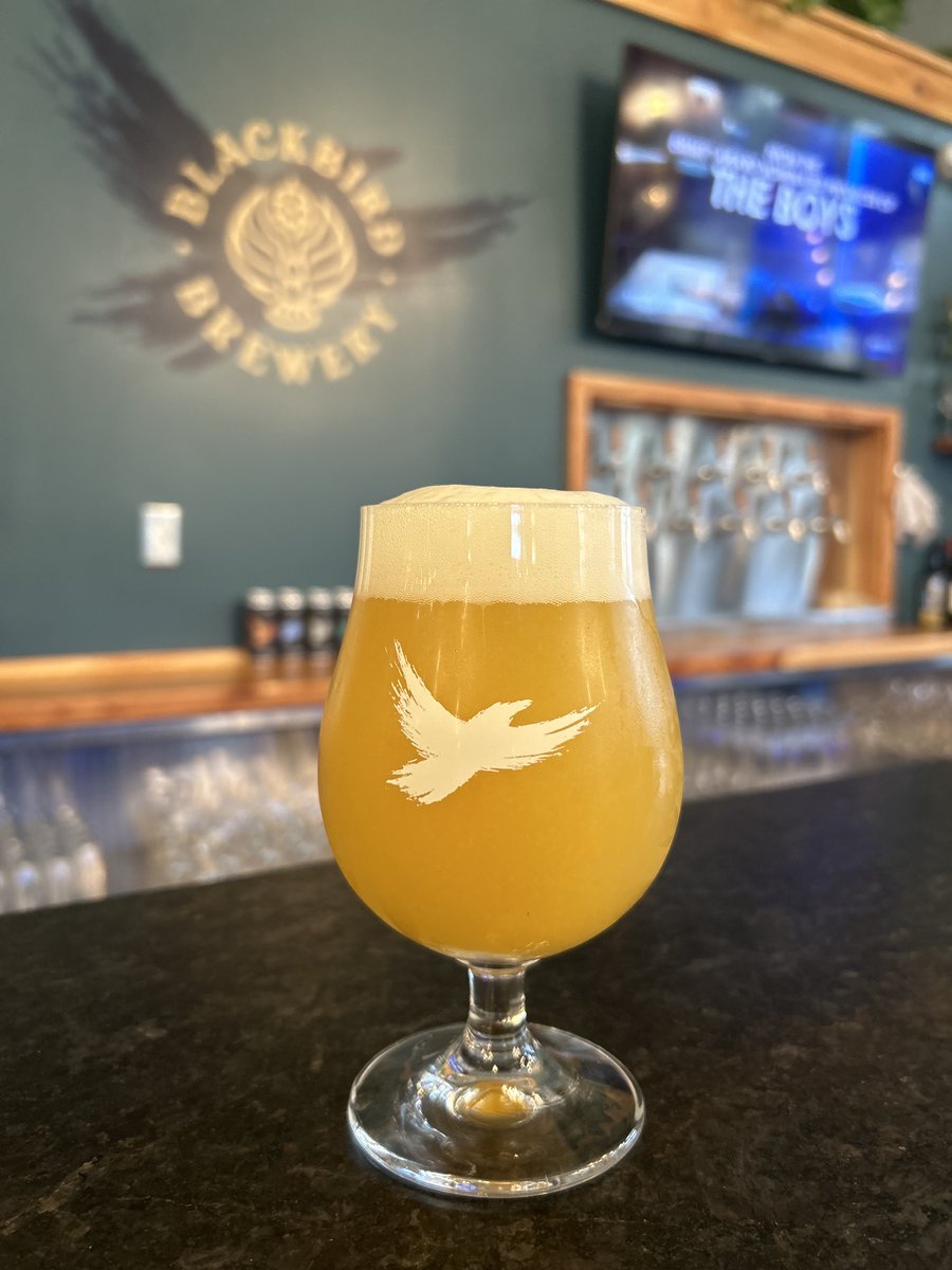 We sat down with brewer Mikey Bourquardez to discuss Blackbird's first sour. Learn what inspired the new sour and why we're stoked about it.
.
blackbirdbeer.com/blog/pucker-up/
.
#sourbeer #ambrosia #blackbirdbeer #trianglebeer #nccraftbeer #nccraftbrewery #craftbrewery #blackbirdbrewery