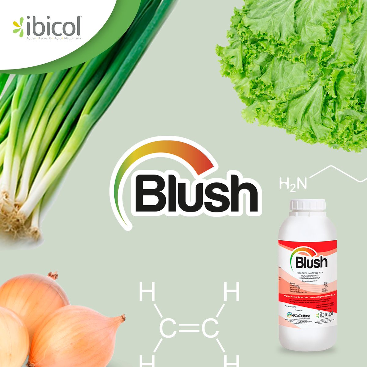 insumosibicol's tweet photo. ¿Preocupado por el uso de hormonas en sus cultivos? ¡No se preocupe más! Blush es el fertilizante ideal, libre de acción hormonal.
#Ibicol #Flores #CalFlux #NHDeltaCa #Blush #Tikkun #ecoculture #Tenzel #Agricultura #ProbioBalance #CalidadDeVida #AirePuro https://t.co/qq7s64goVr