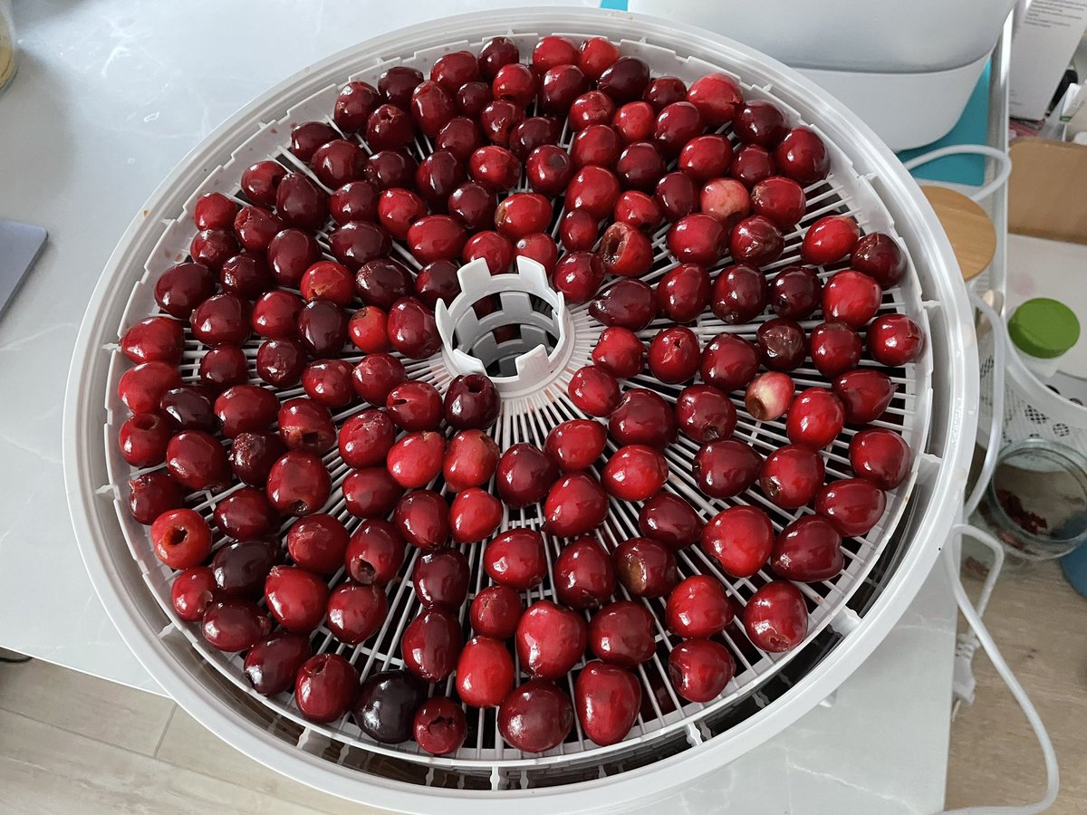 fkashtsshits's tweet photo. Dehydrate cherries 🍒 #dehydrated #cherry #ezidri https://t.co/TLOQ27yVSb