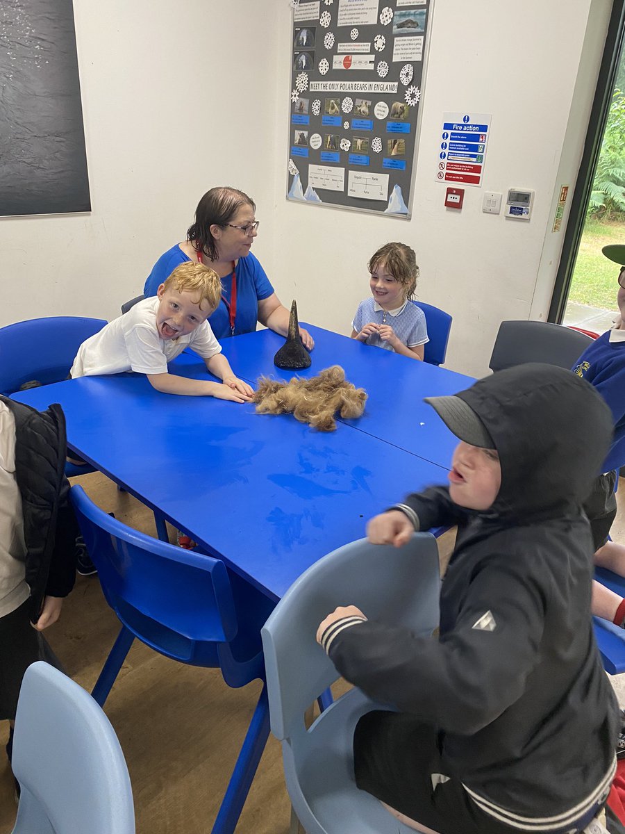 wclpsyear1's tweet photo. Wow! A very wet yet wonderful visit to the Yorkshire Wildlife Park today. Year 1 had so much fun seeing the animals and having a hands-on animal experience! #wclpsscience https://t.co/5u9ItSLwUh