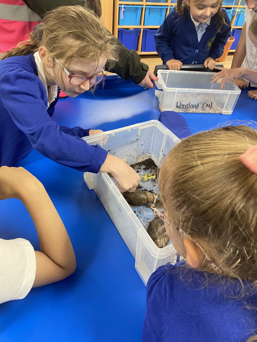 Wow! A very wet yet wonderful visit to the Yorkshire Wildlife Park today. Year 1 had so much fun seeing the animals and having a hands-on animal experience! #wclpsscience