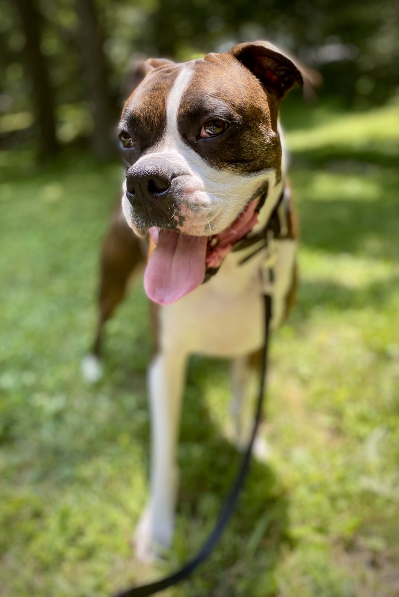 Jennifer Allen tweet media