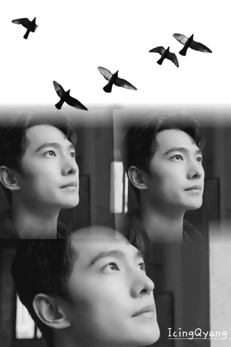 icingquinyang2's tweet photo. #flightoffancy hopefully #YangYang杨洋 is taking time off from his back to back travels and endorsement events before diving into the promotional activities for his upcoming #MyFireworksOnEarth . https://t.co/2QlLLwYb5K
