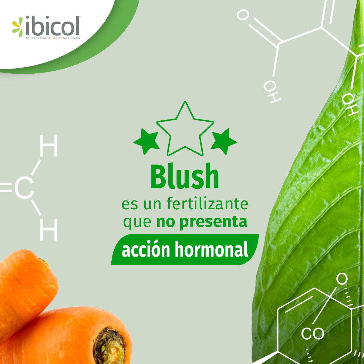 insumosibicol's tweet photo. ¿Preocupado por el uso de hormonas en sus cultivos? ¡No se preocupe más! Blush es el fertilizante ideal, libre de acción hormonal.
#Ibicol #Flores #CalFlux #NHDeltaCa #Blush #Tikkun #ecoculture #Tenzel #Agricultura #ProbioBalance #CalidadDeVida #AirePuro https://t.co/qq7s64goVr