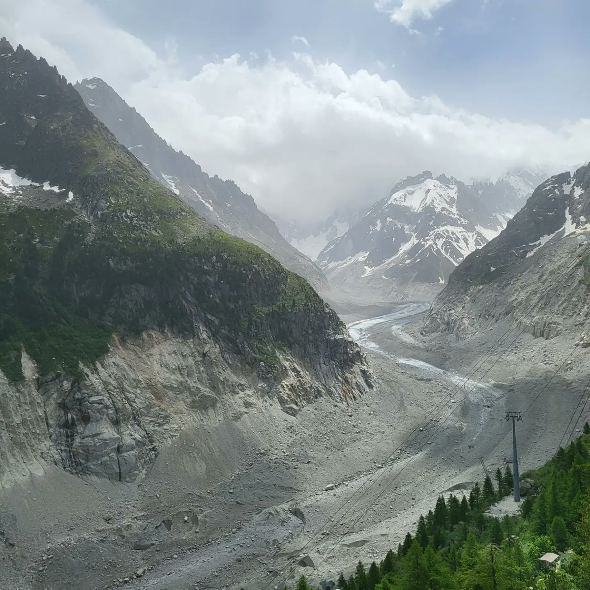 Heidi Leming, PhD tweet media