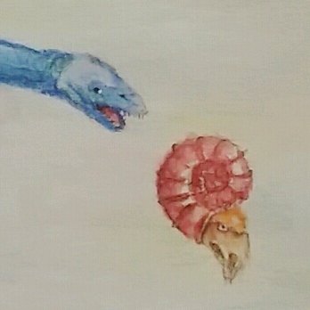 Scutello_saurus's tweet photo. ごぶさたしていました。暑さでつかれてしまい、たくさん寝るじかんで進みませんでした。ということで恐竜ではないですけど、涼しげな #首長竜 #フタバサウルス と #アンモナイト です! #アナログイラスト #古生物 #イラスト #水彩色鉛筆 #futabasaurus https://t.co/sbAW9XSpON