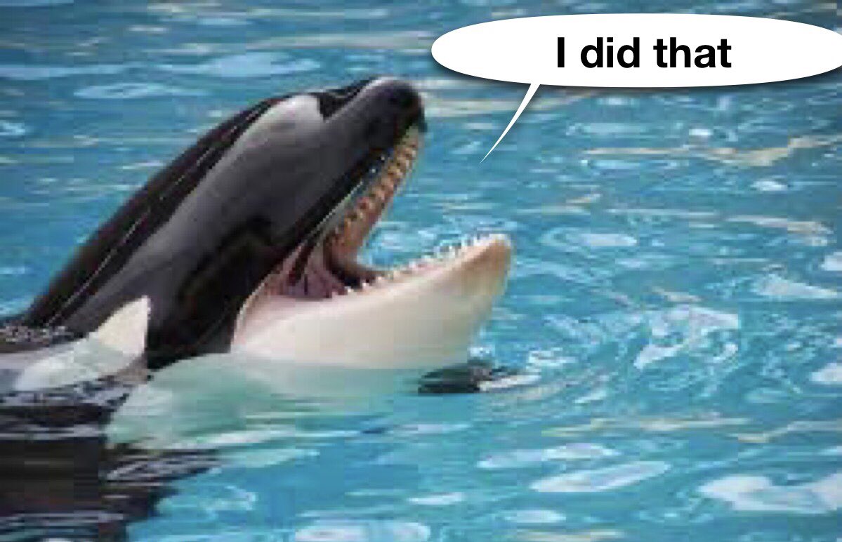 Read Starting Somewhere (@jphilllllll) on Twitter photo 