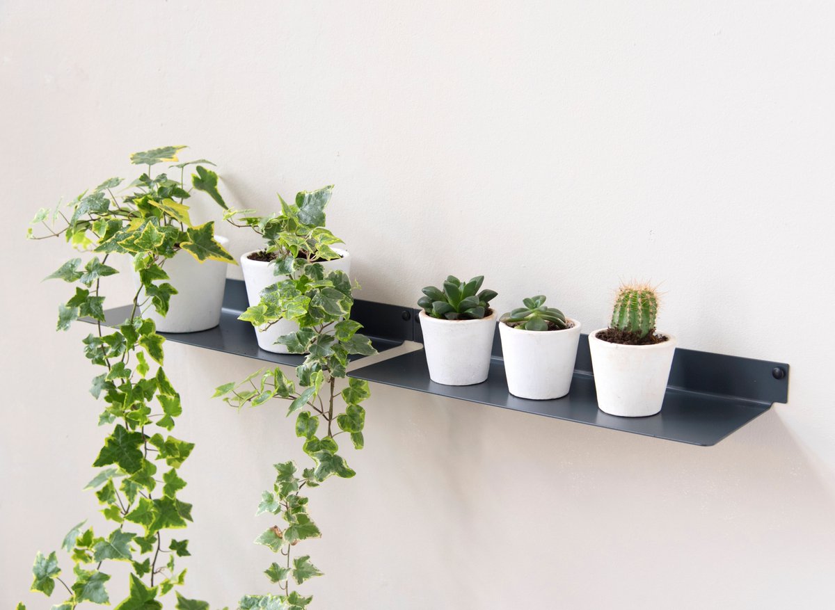 TEEbooks_'s tweet photo. 🌿 Profitez d'une offre exceptionnelle : -70% sur nos étagères pour plantes simples et design ! 🌿⁠
⁠
Laissez la nature s'épanouir dans votre intérieur avec nos étagères conçues intelligemment pour créer un espace vert apaisant et élégant. 💐⁠
⁠ https://t.co/L1PdUjbLNV