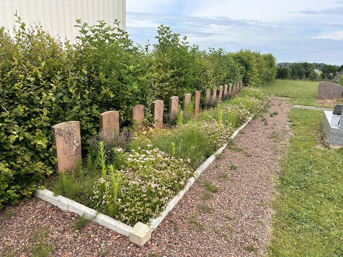 Tofrek's tweet photo. A fascinating plot at Auchonvillers on the Somme. 
Sadly, search facility is down on CWGC website, so cannot add details at the moment. https://t.co/E15FWCUHVY