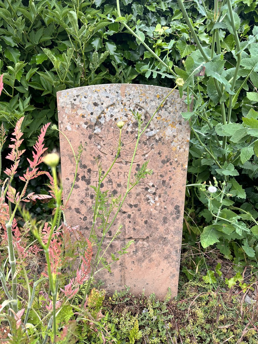Tofrek's tweet photo. A fascinating plot at Auchonvillers on the Somme. 
Sadly, search facility is down on CWGC website, so cannot add details at the moment. https://t.co/E15FWCUHVY