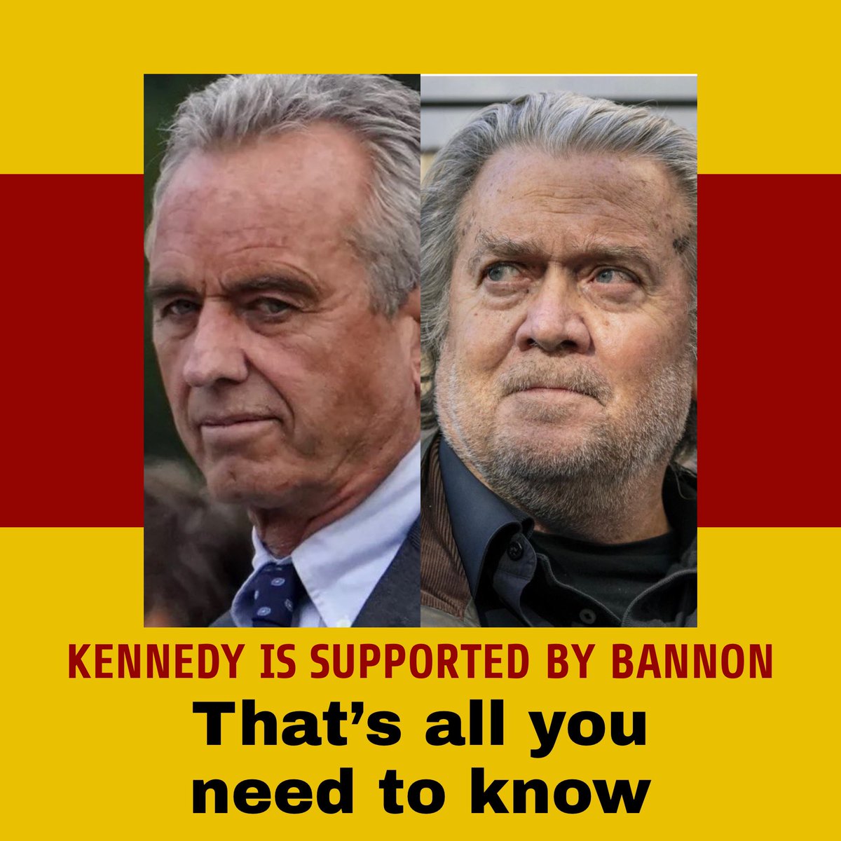 Robert F. Kennedy Jr. is supported by Steve Bannon. Joe Rogan and Elon Musk are promoting him. RFK Jr. is not a true Democrat; he is a plant. He opposes an assault weapons ban and spreads pro-Russian talking points about the war in Ukraine. I support President Joe Biden.