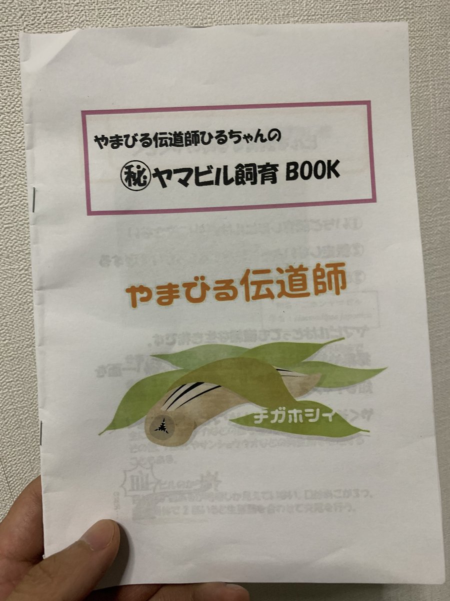 ヒル、正直あんまり良いイメージなかったけど、話聞いたり手に乗せて観察してみたりすると抵抗感が無くなって面白かった https://t.co/F6DC8iGTdo