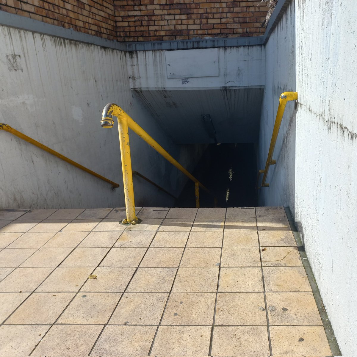 Stirling🇿🇦🦏 tweet media