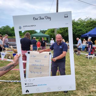 BlackpoolRSPCA's tweet photo. #onefunday https://t.co/z6jf0H4YOp