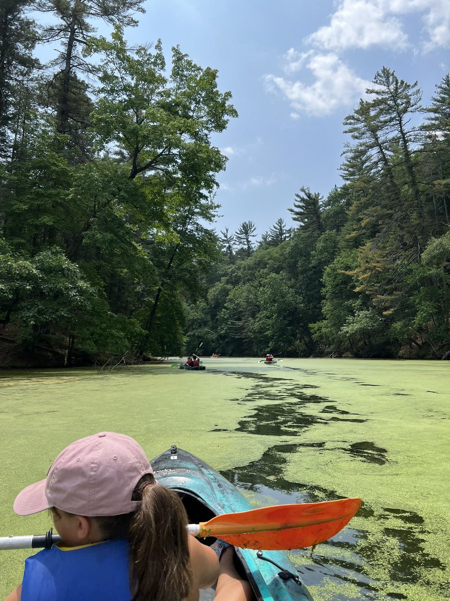 I went kayaking yesterday. The water went from regular lake water to being topped with thick green algae. Pretty colors. I’ve never experienced this. #kayak #mirrorlake #snappingturtle