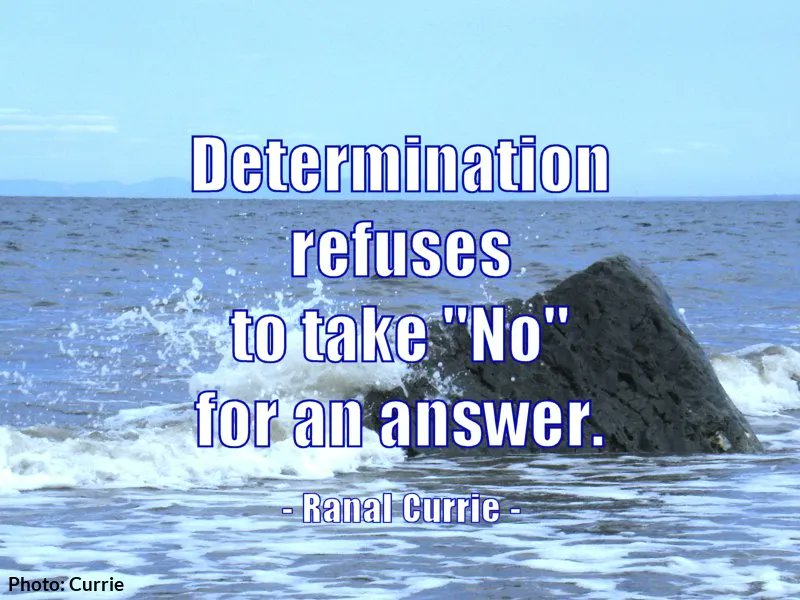 Determination refuses to take 'No' for an answer.

#quote #quotesmith55 #determination #TuesdayMotivation
