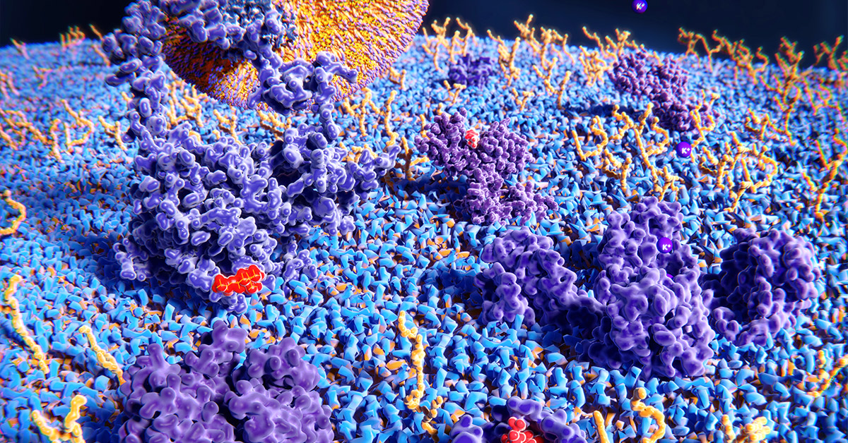 We asked some of our #druginteractions experts to address frequently asked questions about enzyme induction studies and elaborate on recommendations to achieve successful regulatory submission. Take a look at their responses here: bioivt.com/blogs/in-vitro…