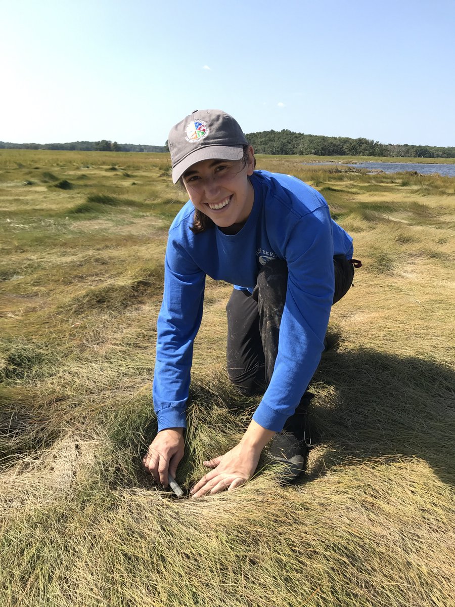 Attn grad students! Applications are now open for the 2024-26 class of Margaret A. Davidson fellows. Gain experience working with an estuarine research reserve while conducting real research! Learn more on July 19: coast.noaa.gov/nerrs/research…