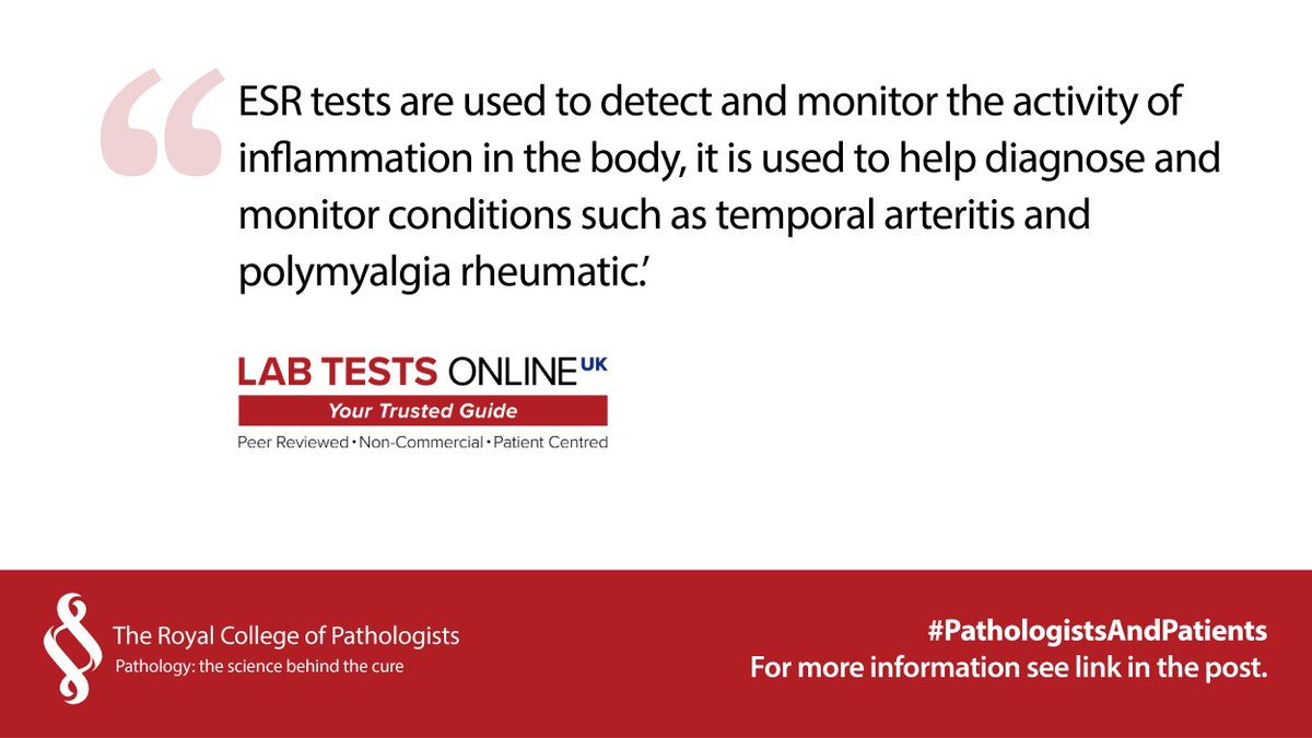 RC of Pathologists (@rcpath) on Twitter photo This National #PathologyWeek, we are highlighting the role of pathology teams in patient care. Every day, we will be featuring patient information pages from <a href="/LabTestsUK/">Lab Tests Online UK</a>
Today we will be looking at ESR tests: ow.ly/kbMc50OSrEL #Immunology #pathologistsandpatients This National #PathologyWeek, we are highlighting the role of pathology teams in patient care. Every day, we will be featuring patient information pages from <a href="/LabTestsUK/">Lab Tests Online UK</a>
Today we will be looking at ESR tests: ow.ly/kbMc50OSrEL #Immunology #pathologistsandpatients