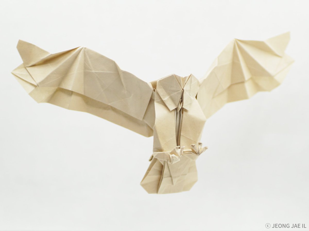 올빼미
フクロウ
Owl

2022