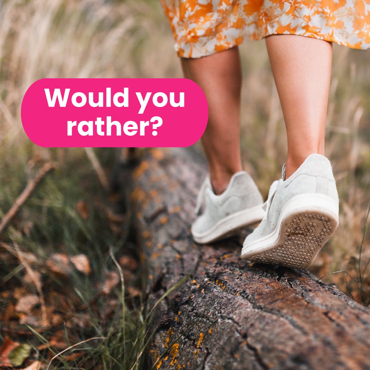 Bankfeed tweet media