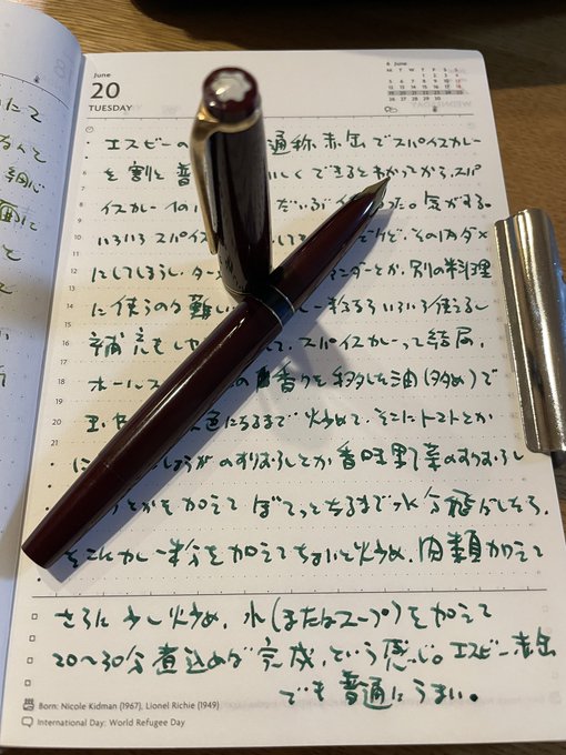 hajihaji様用】マスター万年筆・WODEN万年筆 2点纏めて 販促品製作
