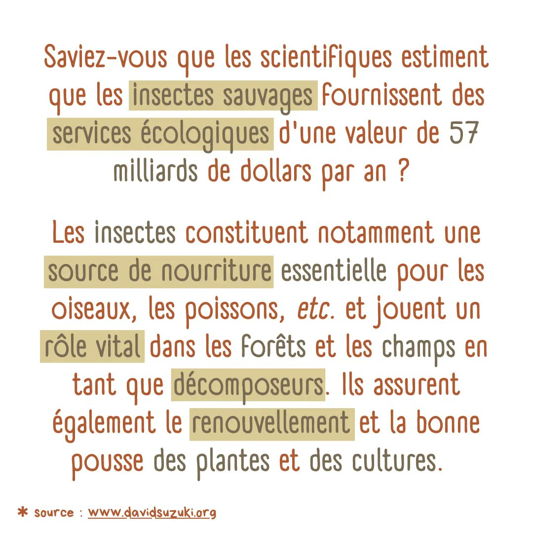 AFHalifax's tweet image. 🌿 Du 19 - 25 juin les #pollinisateurs sont célébrés partout en Amérique du Nord #PollinatorWeek2023. Essentiels à notre survie et représentant 2/3 de la #vie sur Terre, plus des 3/4 des plantes et 1/3 des aliments que nous consommons dépendent des #insectes. #biodiversity #plant