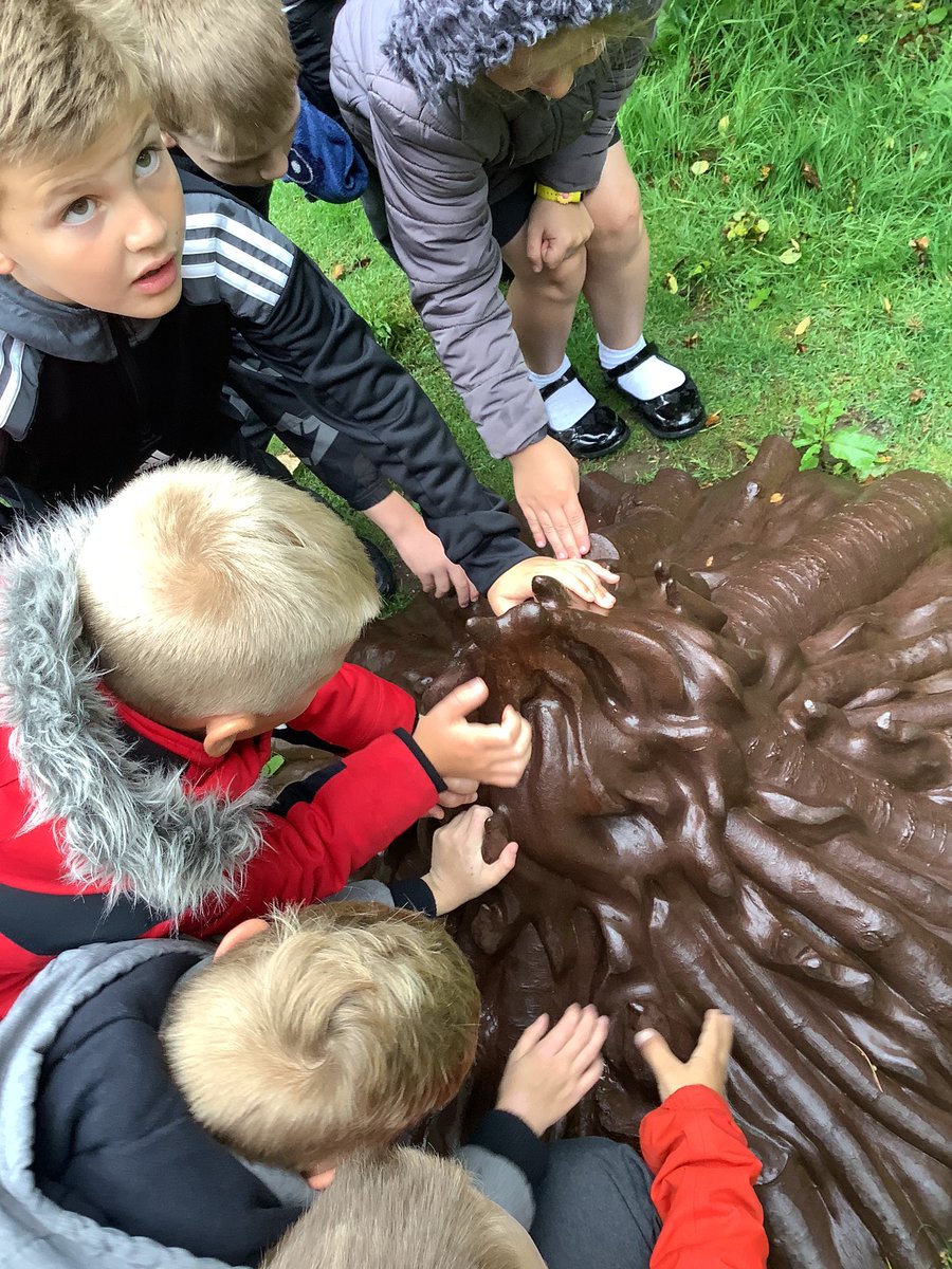 Class York tweet media