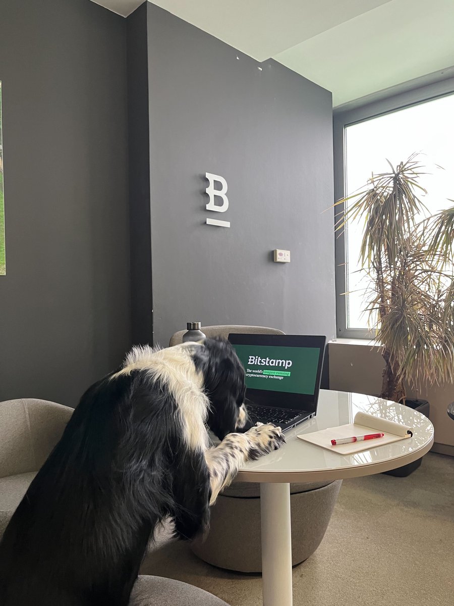 Bitstamp by Robinhood tweet media