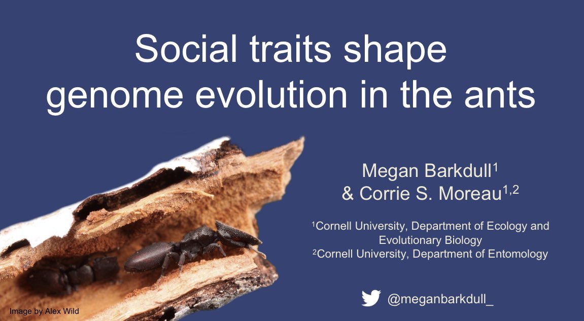 Megan Barkdull tweet media