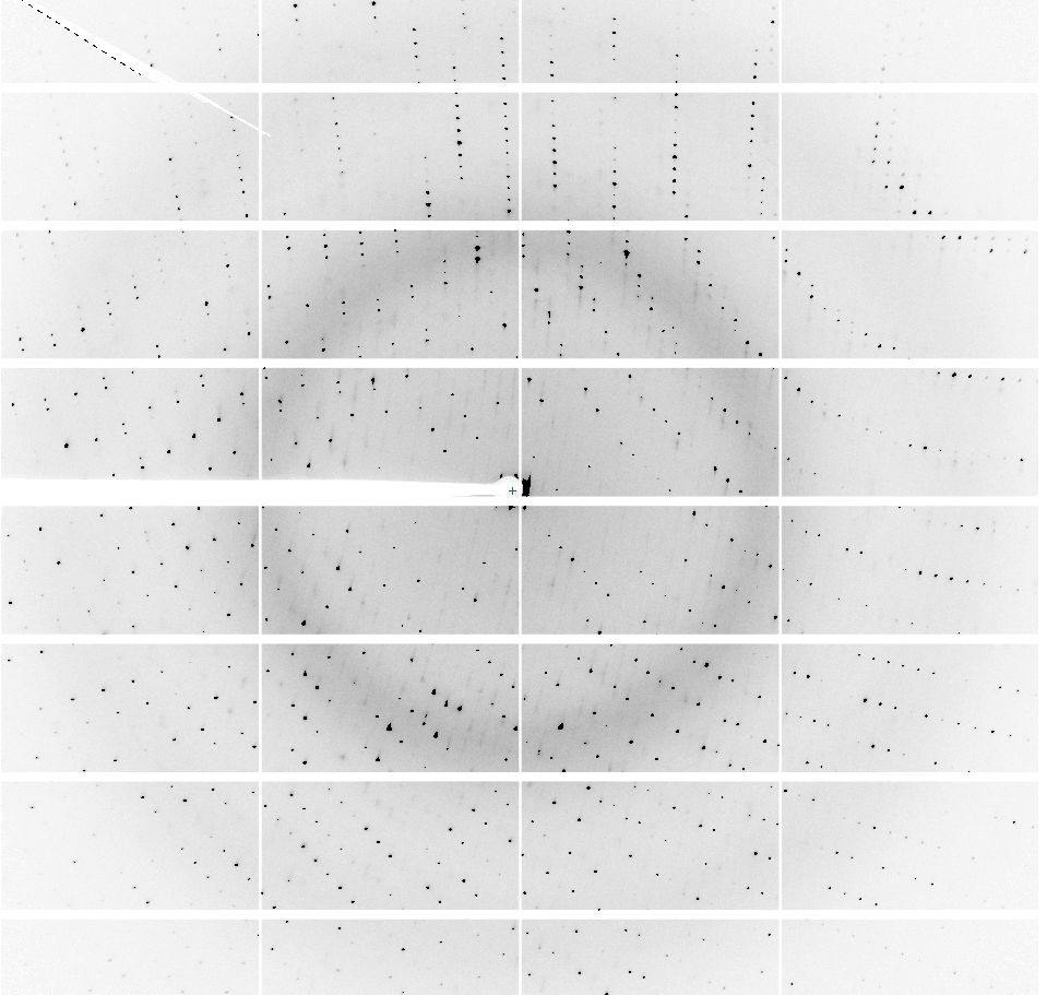 Mickael Blaise tweet media