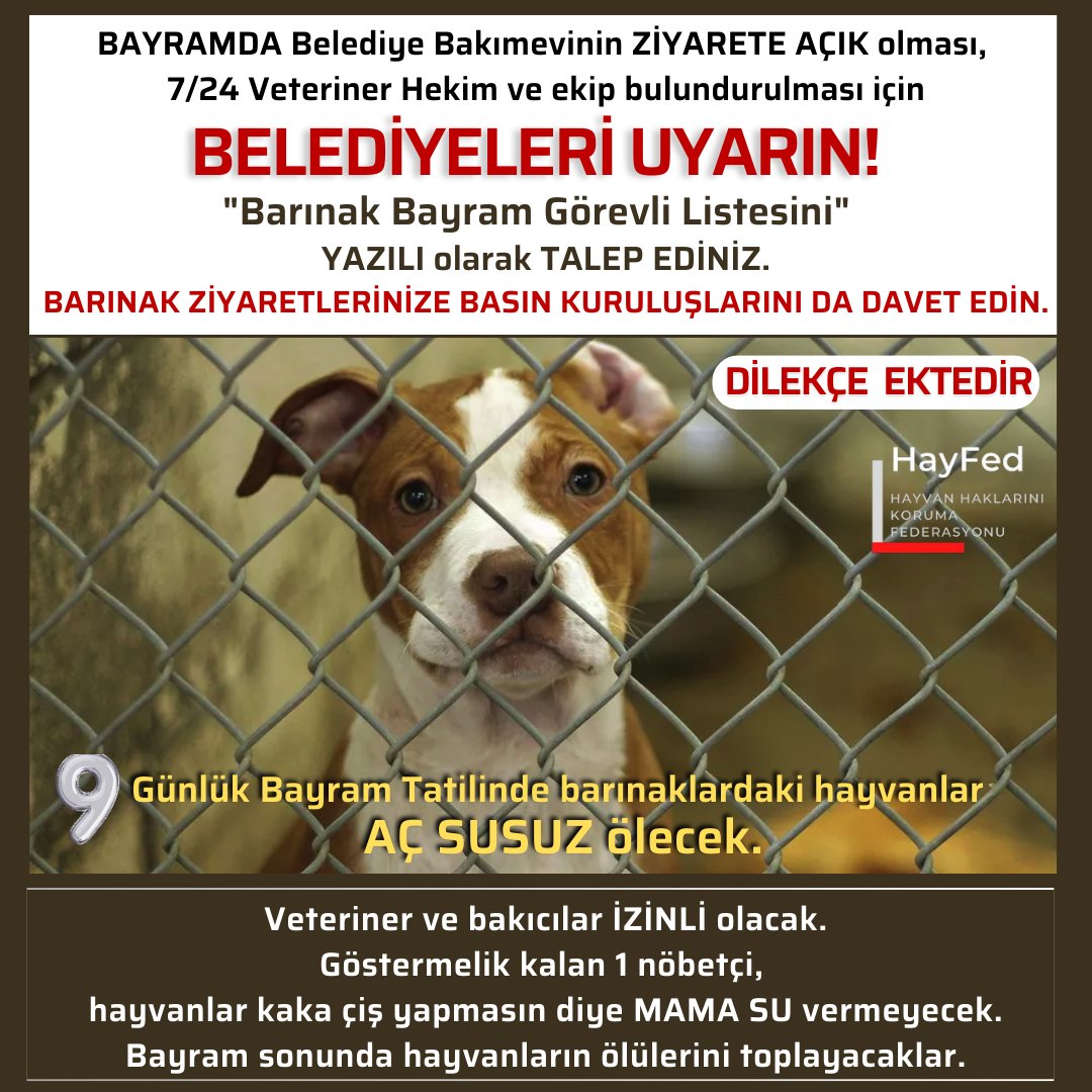 Her Bayram olduğu gibi bu Bayram da barınaklardaki hayvanlar AÇ SUSUZ ölecek.
Bayram sonunda hayvanların ölülerini toplayacaklar.

Bayramda Bakımevinin ZİYARETE AÇIK olması,
7/24 Veteriner ve ekip bulundurulması için
BLDİYELERE DİLEKÇEYE KATILINIZ.✍️✍️ ➡️facebook.com/photo/?fbid=11…