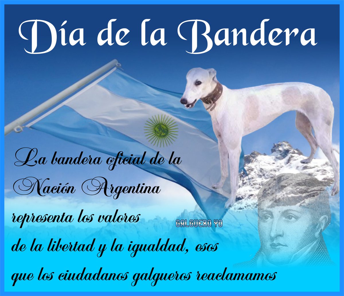 GyoGsoy's tweet photo. DÍA DE LA BANDERA

La bandera oficial de la Nación Argentina representa los valores de la libertad y la igualdad, esos que los ciudadanos galgueros reclamamos. https://t.co/aH2ViQZ1Ac