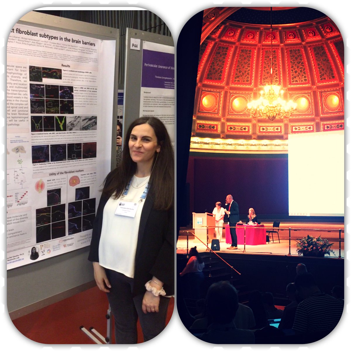 Awesome opening ceremony and lots of feedback at the poster session of the #cvb2023 meeting in Uppsala! #vascularbiology