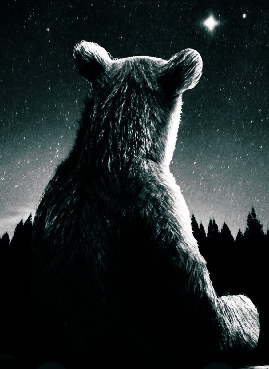 #whatever #WishUponAStar