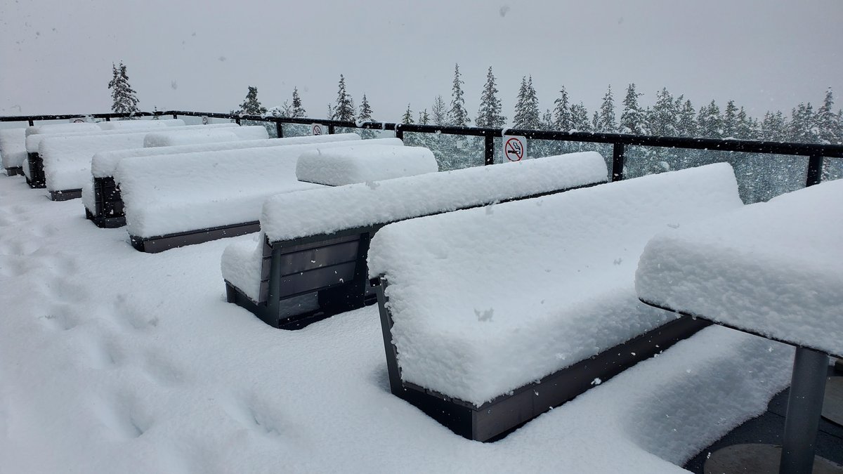 Igluski's tweet photo. Although UK is basked in sunshine and hot weather, this resort in Canada has experienced a very late dump of powder - which has got us excited for next season!

📷 Marmot Basin, Jasper, Canada.

#MarmotBasin #Skiing #Powder https://t.co/LOicku3dFU