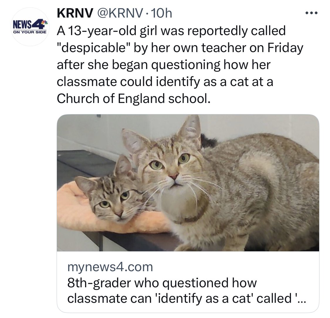 David Calvert tweet media