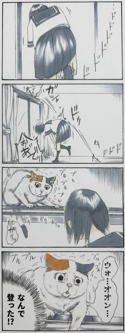 『特選拾い猫のモチャ』12