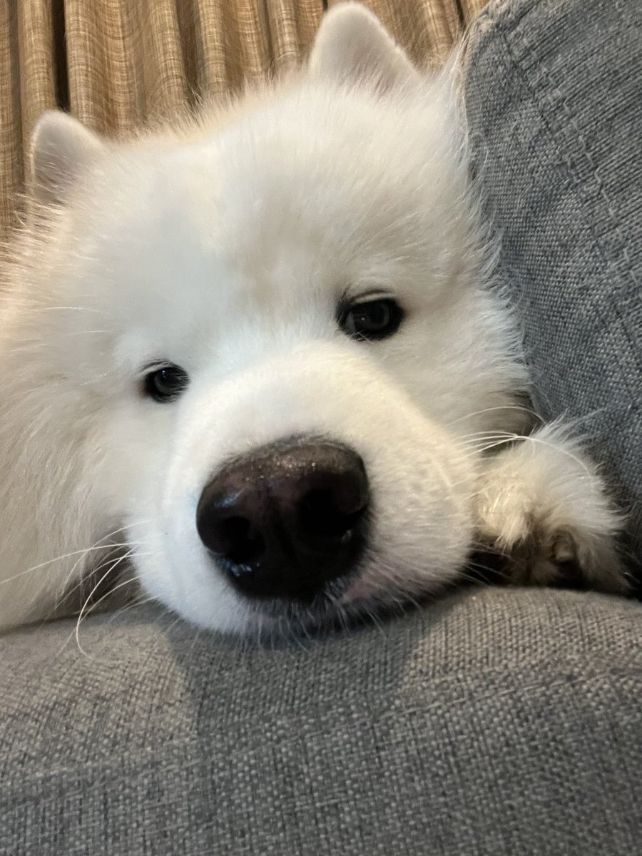 พอร์ชมาอ้อนๆ