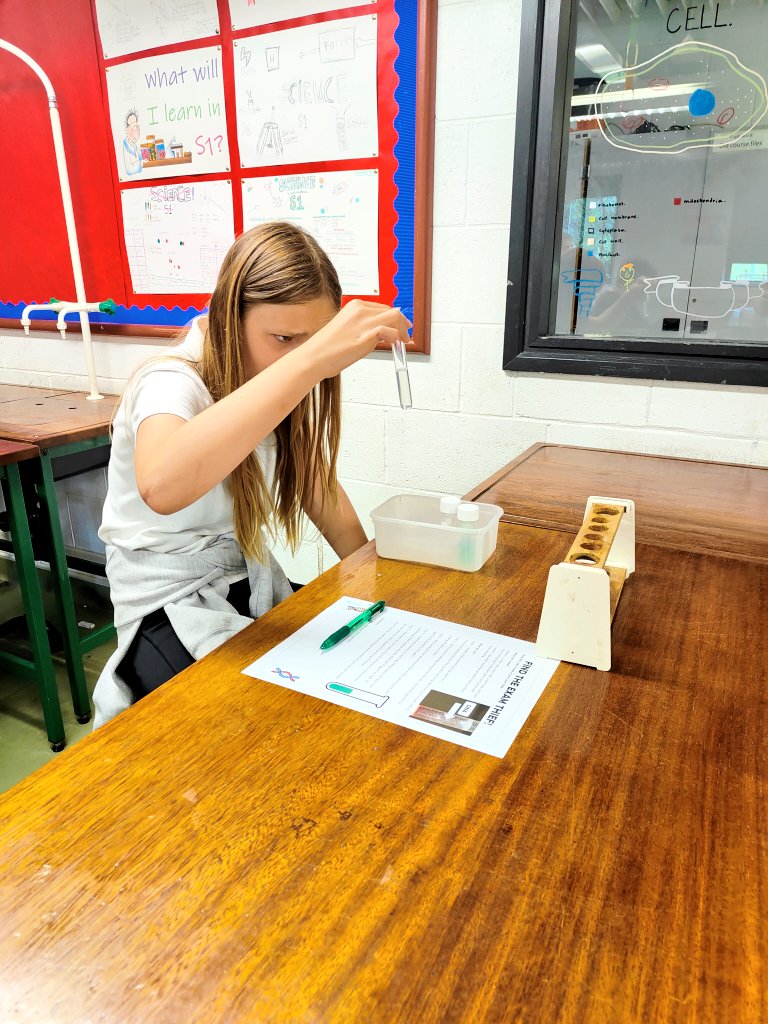 LeithScience's tweet photo. Some more of Miss Bell's keen new S1 classes have been learning about and extracting their own DNA! #Transition #WelcomeToLeith #DNA #DNAExtraction @hermitageparkps @Leith_Primary @LorneSchool @st_marys_leith @CraigentinnyPS @CraigourPark https://t.co/UjTBsJXPk5